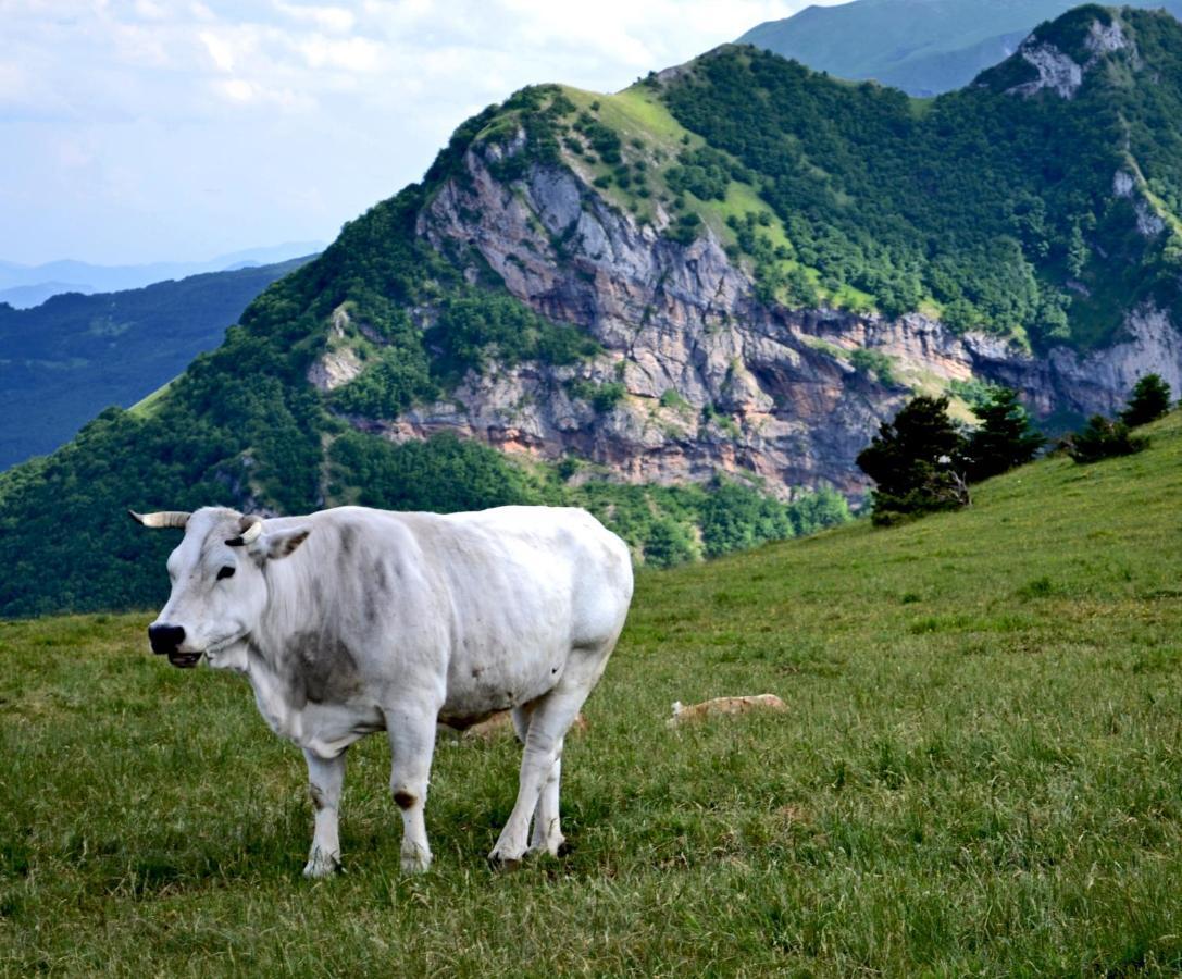 Locanda Della Rocca ซาร์นาโน ภายนอก รูปภาพ